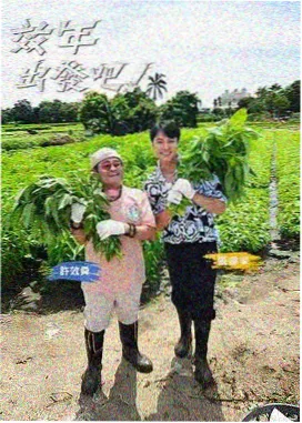 单身即地狱节目海报
